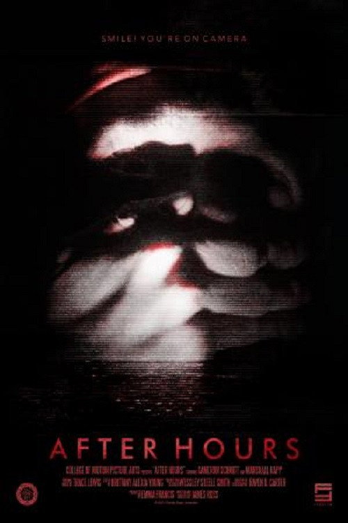 Постер фильма «After Hours»