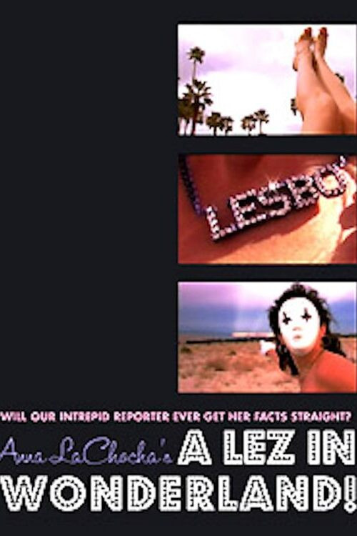 Постер фильма «Broute-minou à Palm Springs»