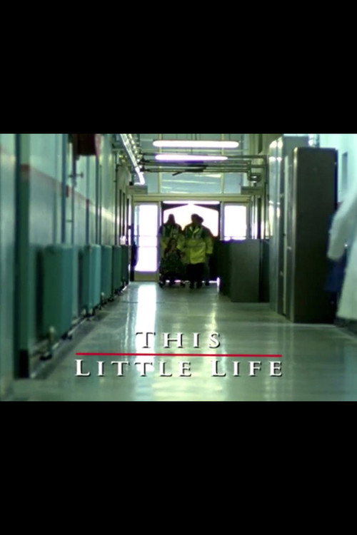Постер фильма «This Little Life»