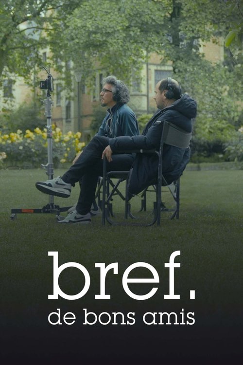 Постер фильма «Bref. De bons amis»