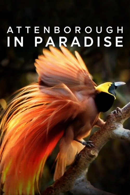 Постер фильма «Attenborough in Paradise»