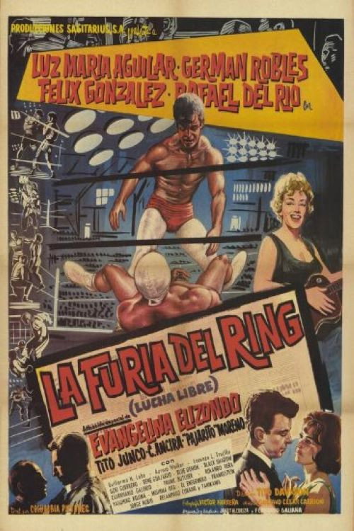 Постер фильма «La furia del ring»