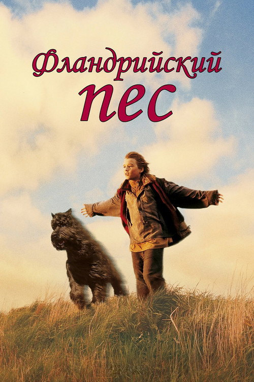 Постер фильма «Фламандский пёс»