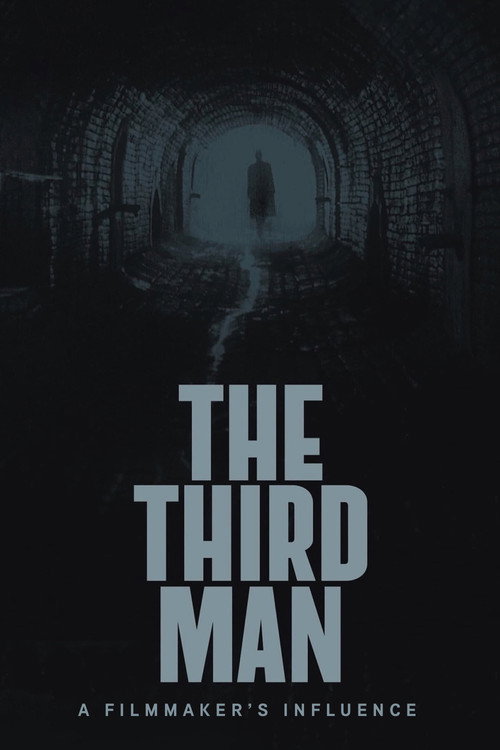 Постер фильма «The Third Man: A Filmmaker's Influence»