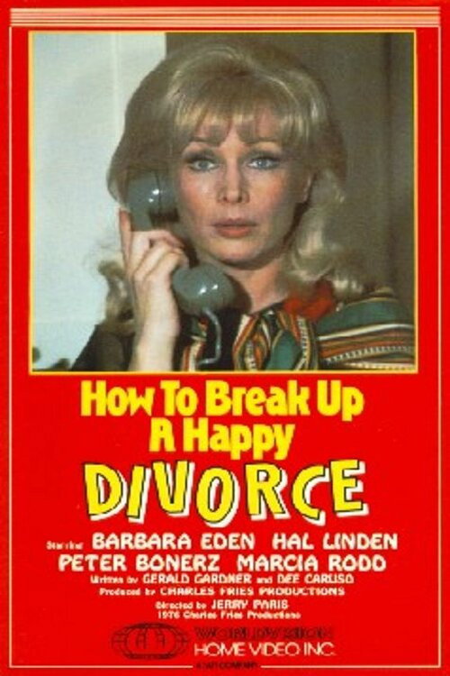 Постер фильма «How to Break Up a Happy Divorce»