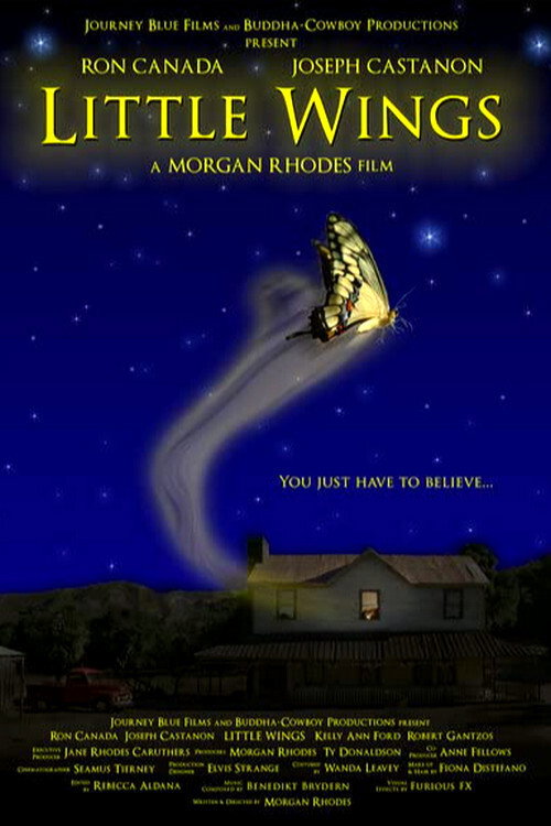 Постер фильма «Little Wings»