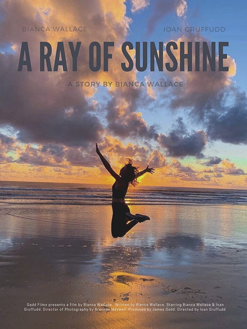 Постер фильма «A Ray of Sunshine»