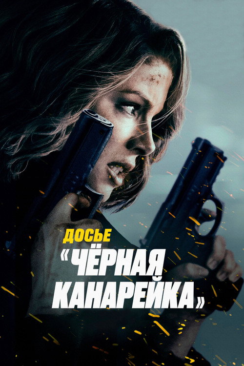 Постер фильма «Досье «Чёрная канарейка»»