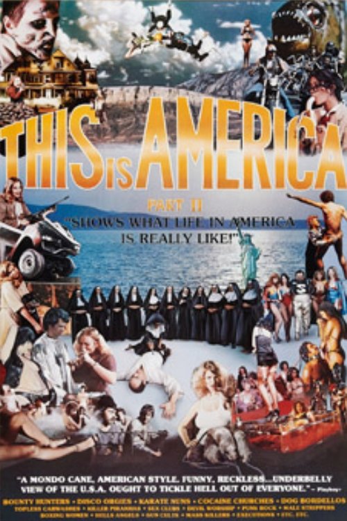 Постер фильма «This Is America Part 2»