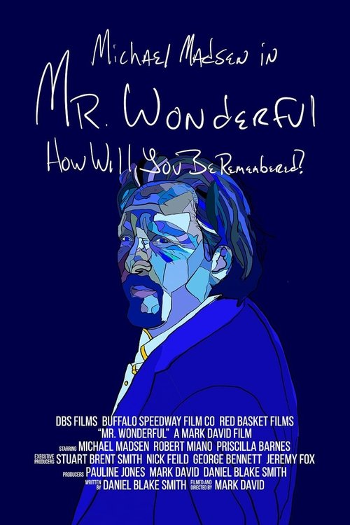 Постер фильма «Mr. Wonderful»