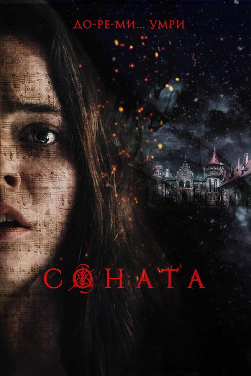 Постер фильма «Соната»