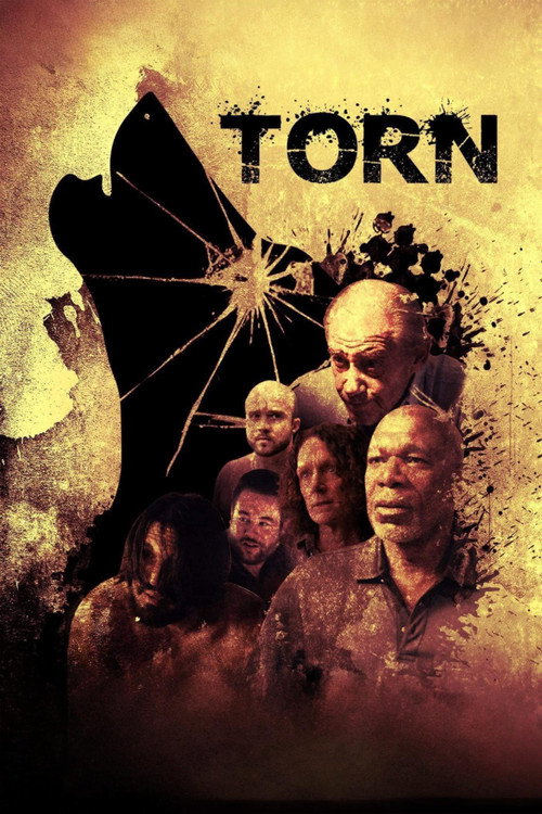 Постер фильма «Torn»
