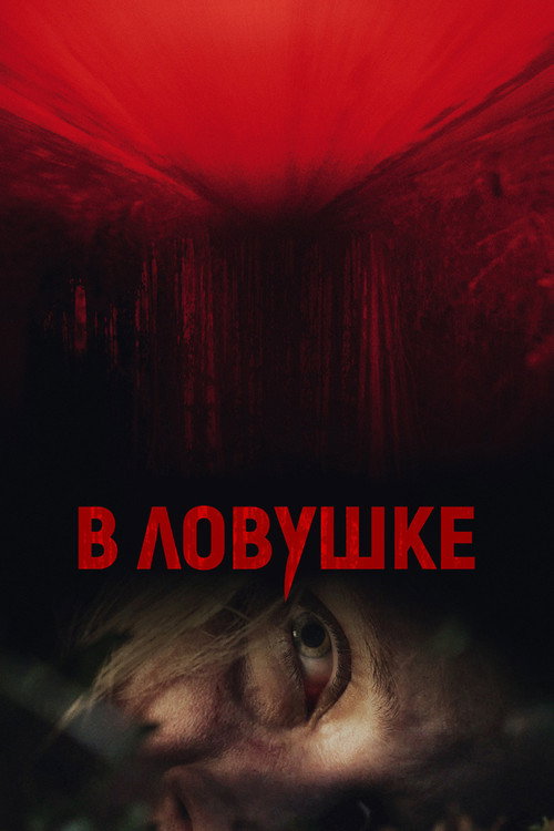 Постер фильма «В ловушке»
