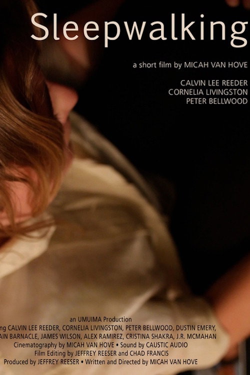 Постер фильма «Sleepwalking»