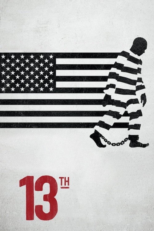 Постер фильма «13th»