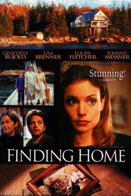 Постер фильма «Finding Home»
