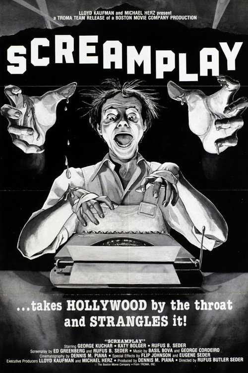Постер фильма «Screamplay»