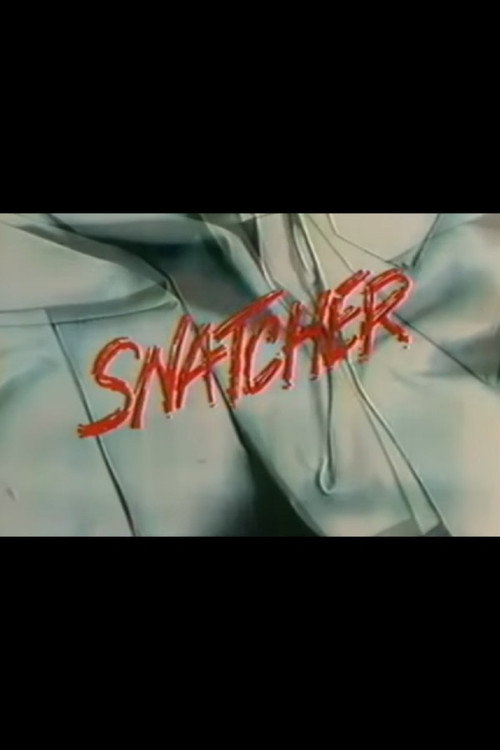 Постер фильма «Snatcher»