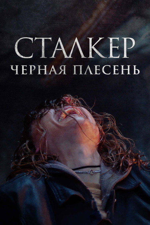 Постер фильма «Сталкер. Черная плесень»