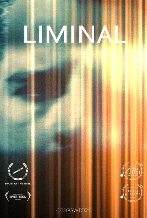 Постер фильма «Liminal»