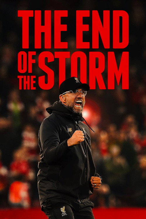 Постер фильма «The End of the Storm»