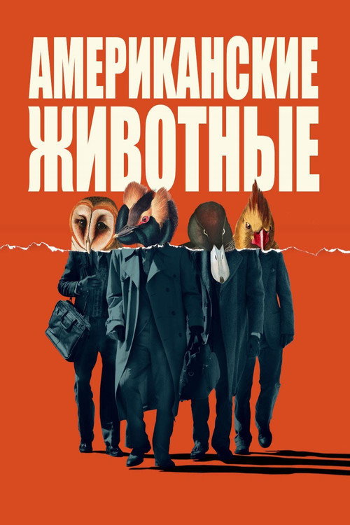 Постер фильма «Американские животные»