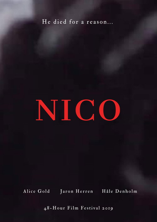 Постер фильма «Nico»