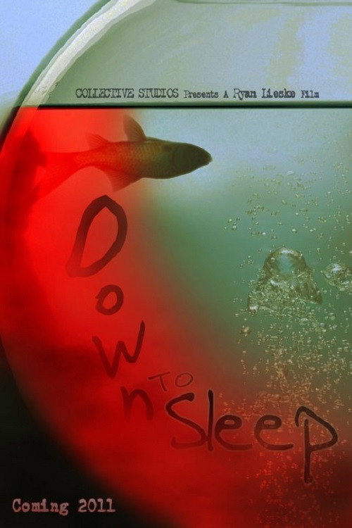 Постер фильма «Down to Sleep»