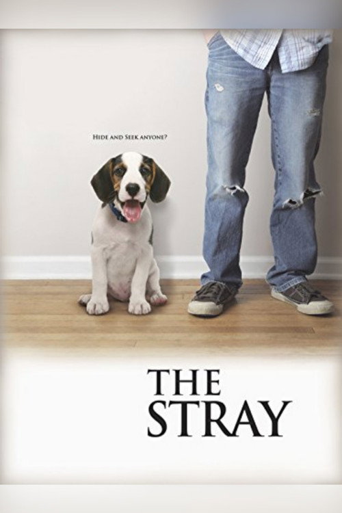 Постер фильма «The Stray»