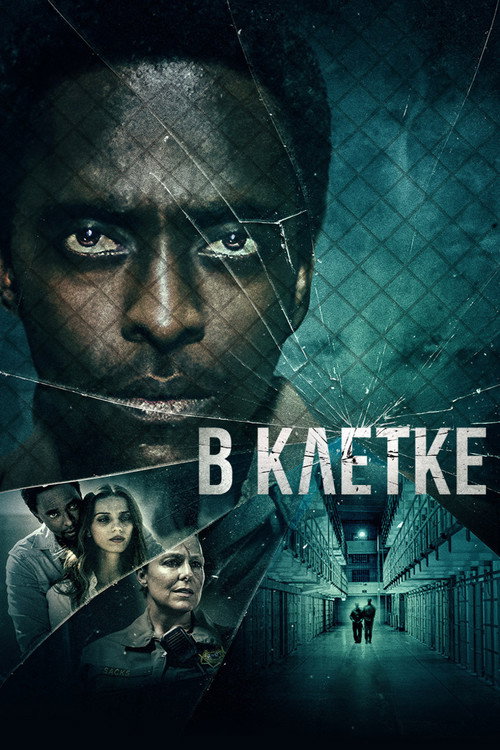 Постер фильма «В клетке»