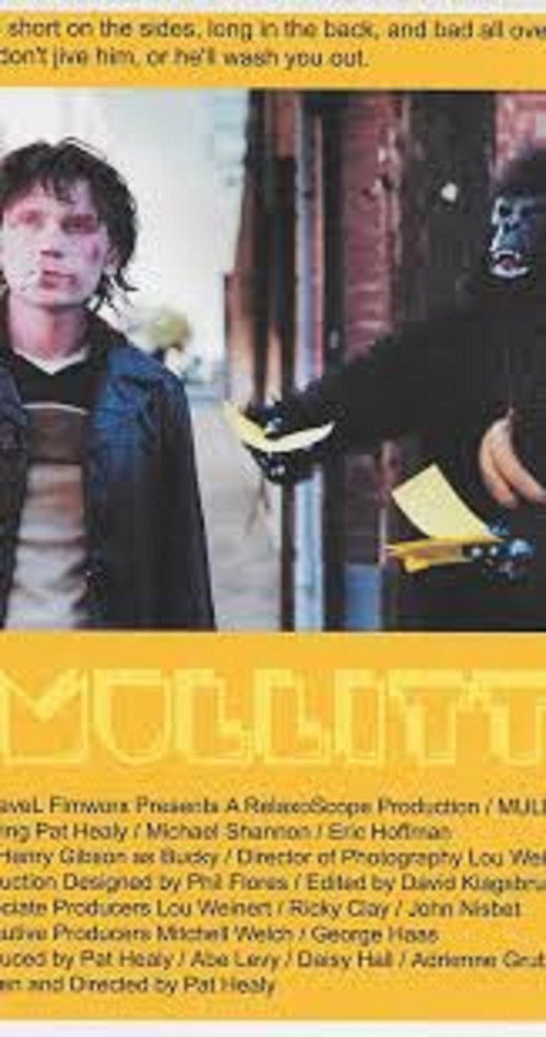 Постер фильма «Mullitt»