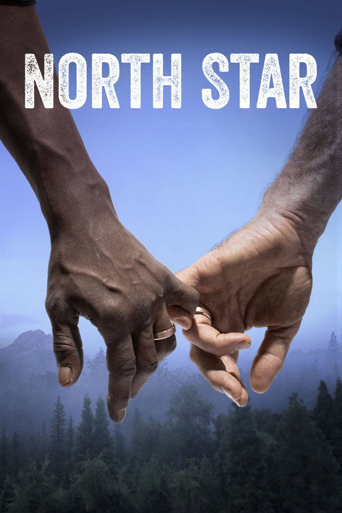 Постер фильма «North Star»