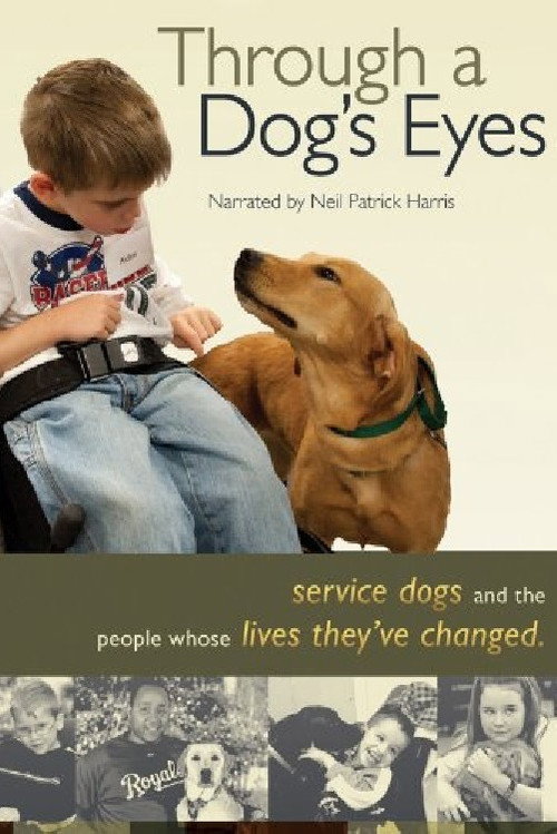 Постер фильма «Through a Dog's Eyes»