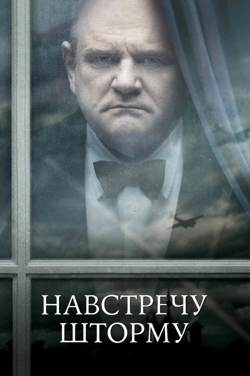Постер фильма «Навстречу шторму»