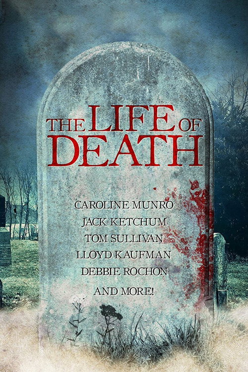 Постер фильма «The Life of Death»