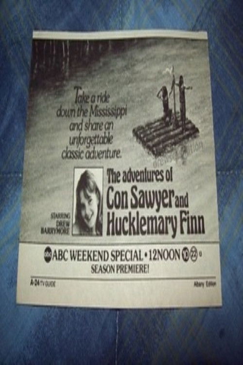 Постер фильма «The Adventures of Con Sawyer and Hucklemary Finn»