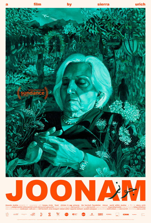 Постер фильма «Joonam»