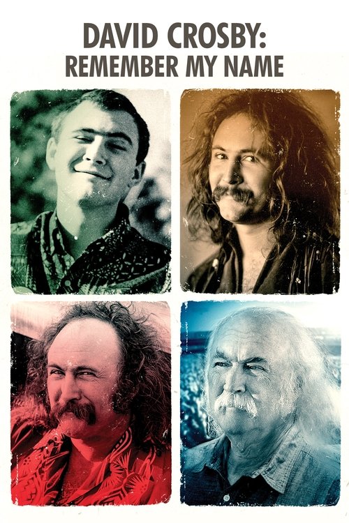 Постер фильма «David Crosby: Remember My Name»