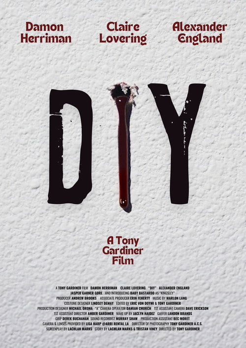 Постер фильма «DIY»