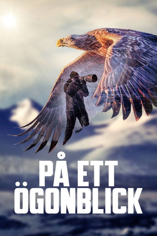 Постер фильма «På ett ögonblick»