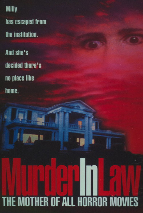 Постер фильма «Murder in Law»