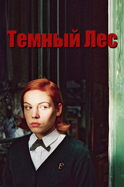 Постер фильма «Тёмный лес»
