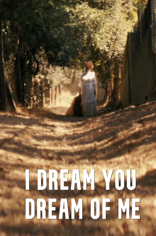 Постер фильма «I Dream You Dream of Me»