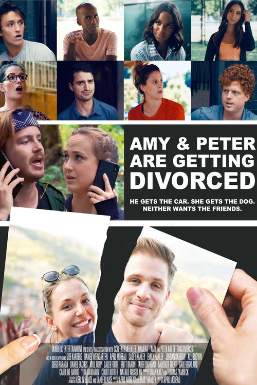Постер фильма «Amy and Peter Are Getting Divorced»