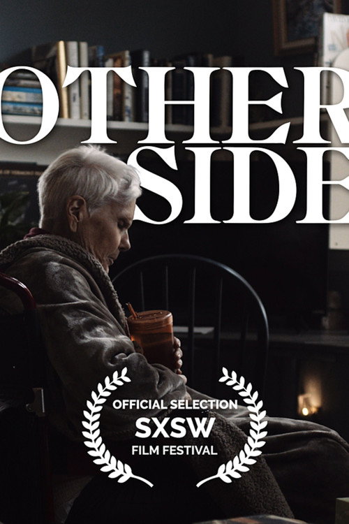 Постер фильма «Other Side»