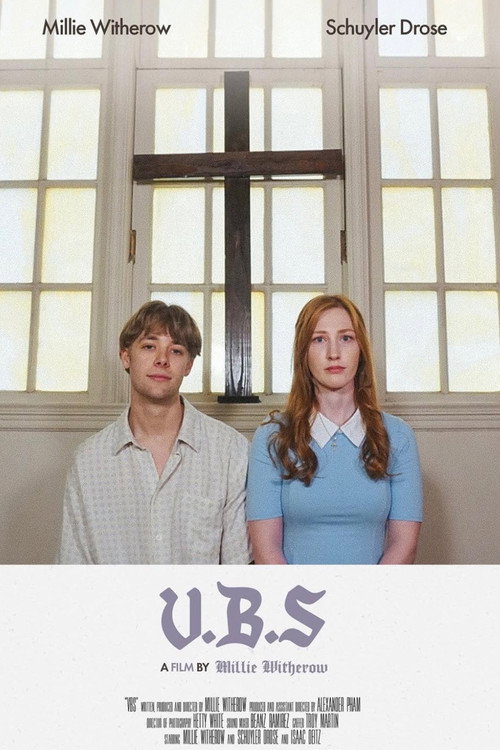 Постер фильма «V.B.S»
