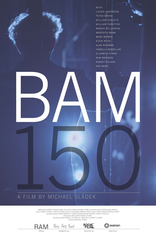 Постер фильма «BAM150»