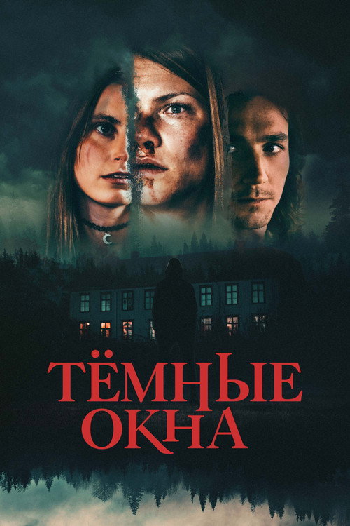 Постер фильма «Тёмные окна»