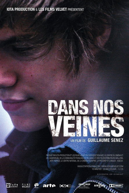 Постер фильма «Dans nos veines»