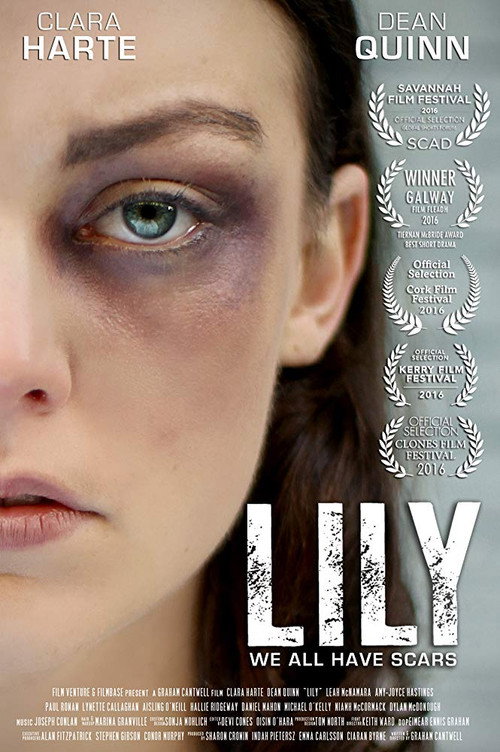 Постер фильма «Lily»